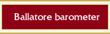 Bliss Barometer
